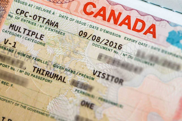 Hộ chiếu khác gì so với visa?