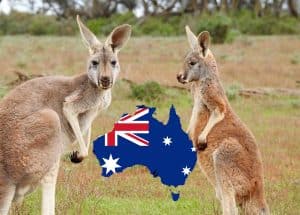 Kinh nghiệm lên kế hoạch du lịch Úc tự túc