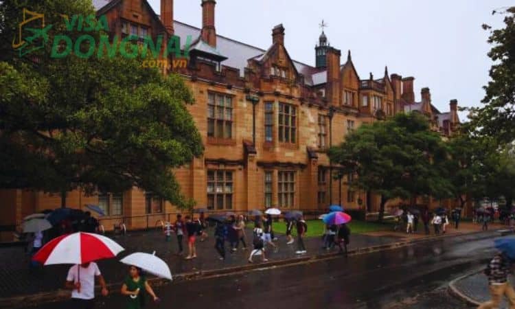 University of Sydney