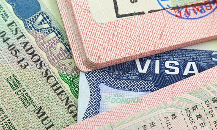 Các loại visa