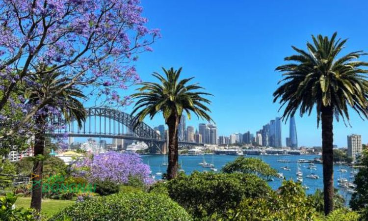 Đi du lịch Úc vào mùa xuân